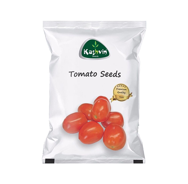 KGP Tomato